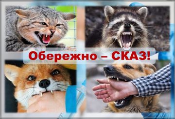 сказ