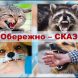 сказ