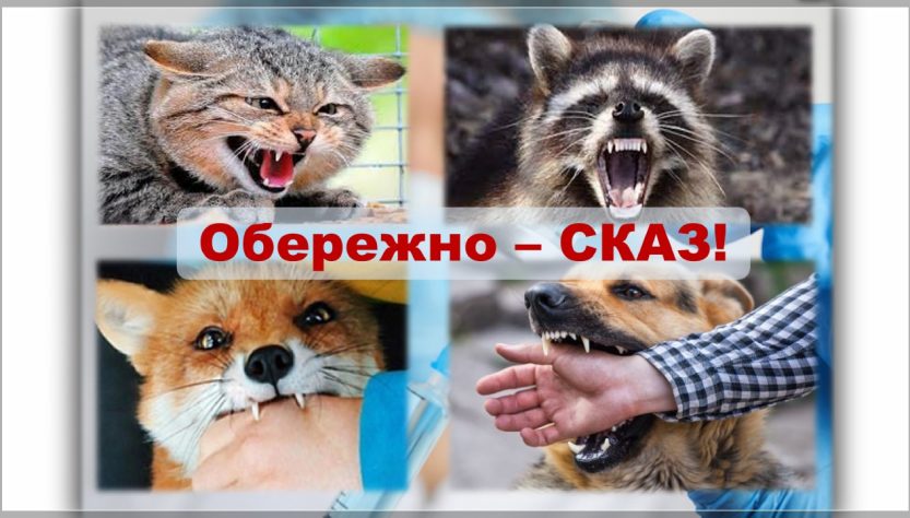 сказ